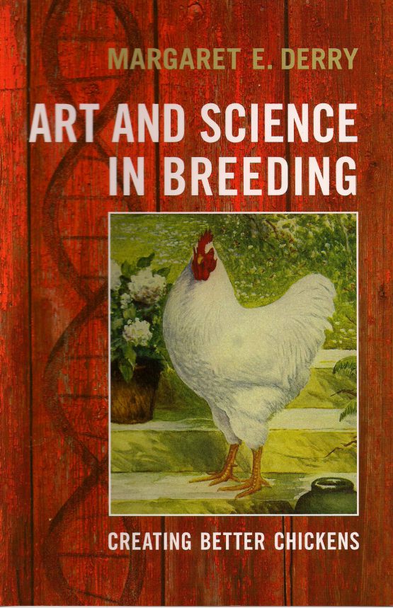The Art and Science of Breeding: Creating Better Chickens