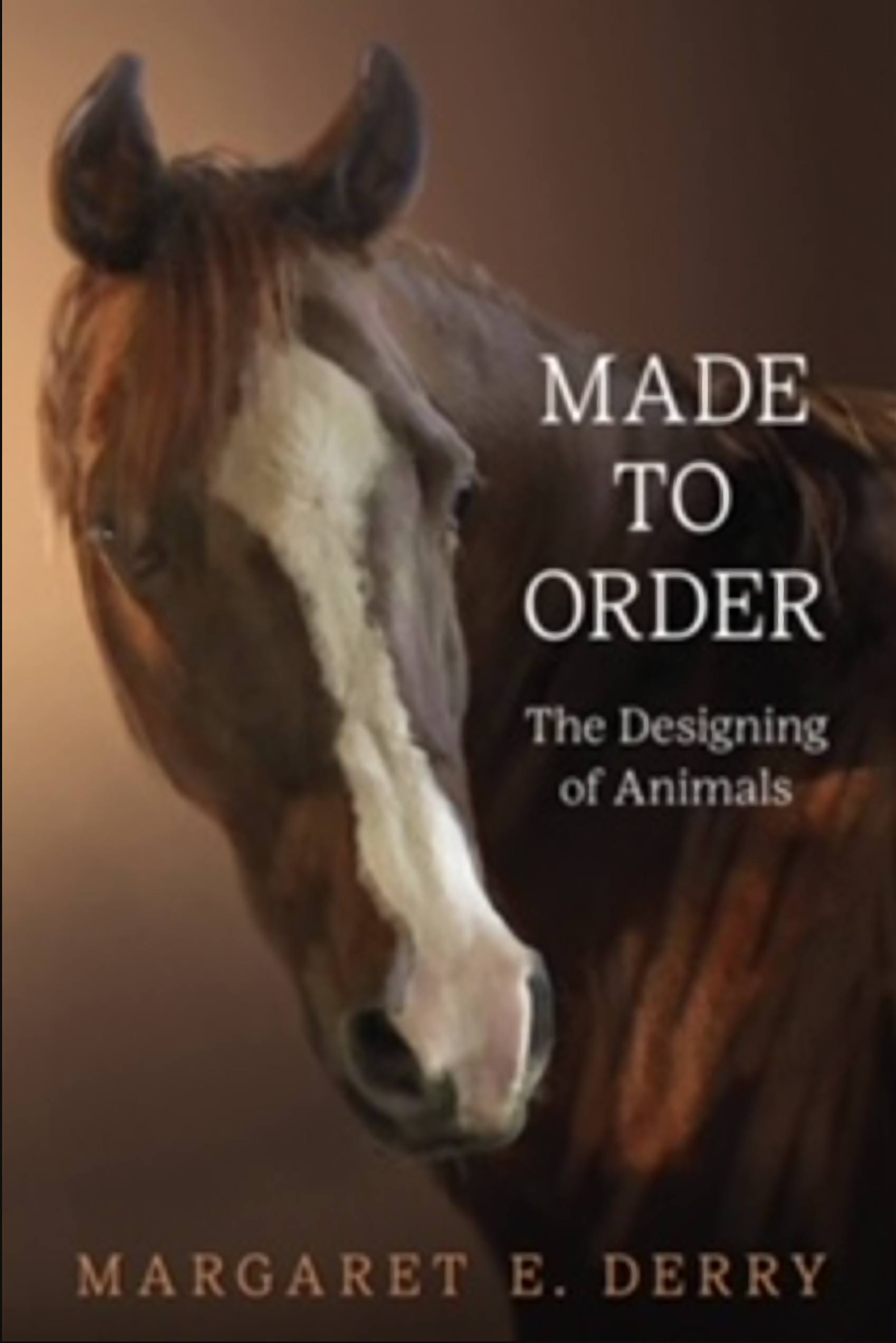 Made To Order by Margaret Derry